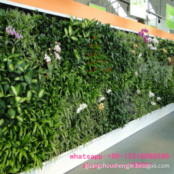 Q091116 outdoor decoration artificial green wall ornamental plants artificial living wall